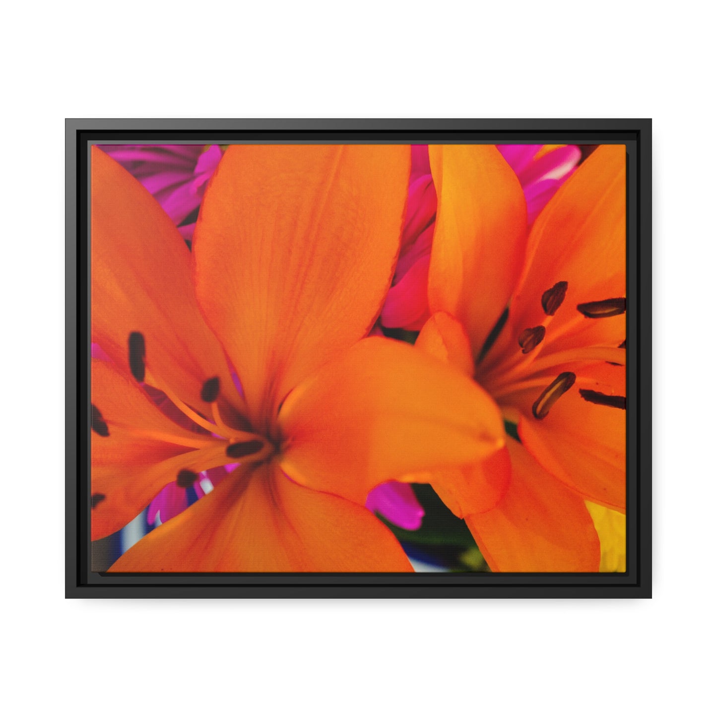 Hawaiian Dreams on Matte Canvas, Black Frame