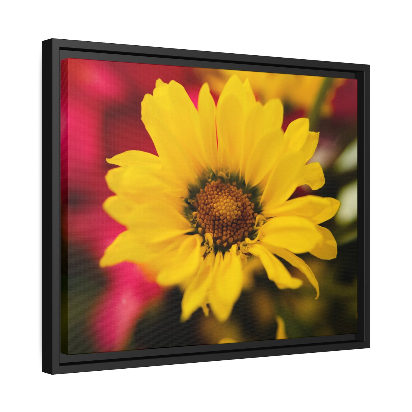 Blooms of sunshine on Matte Canvas, Black Frame