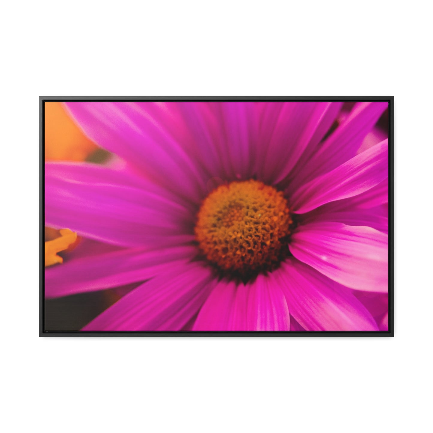 Pure passion on Gallery Canvas Wraps, Horizontal Frame