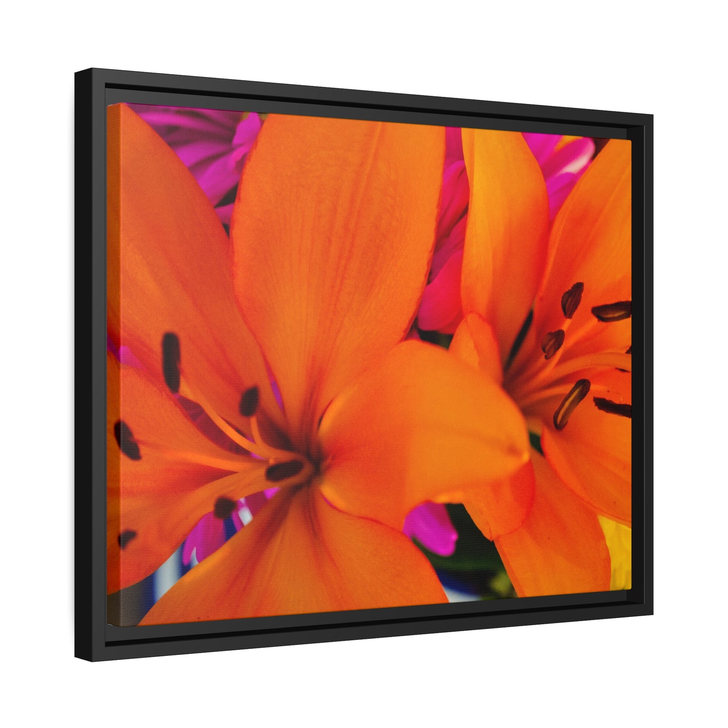 Hawaiian Dreams on Matte Canvas, Black Frame