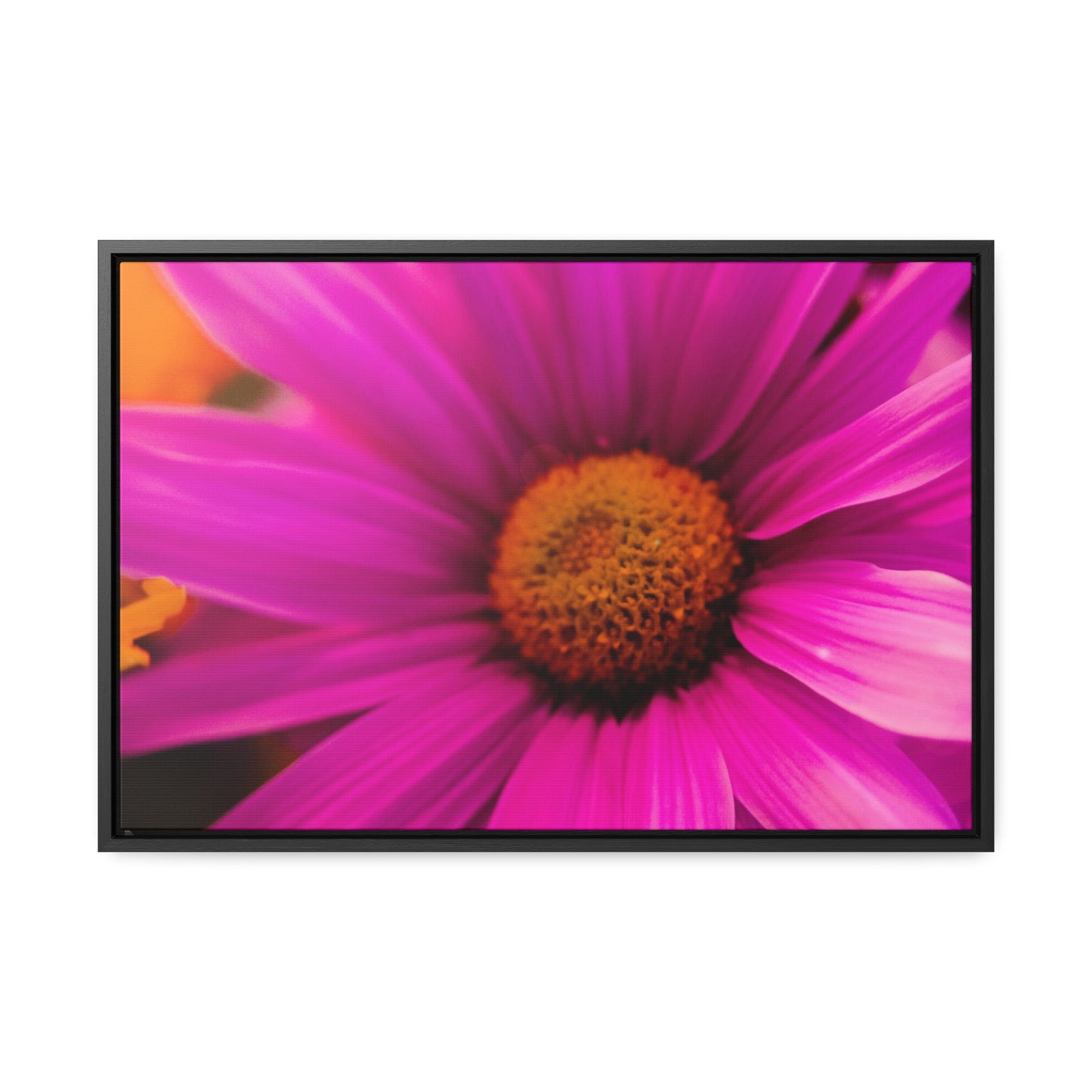 Pure passion on Gallery Canvas Wraps, Horizontal Frame