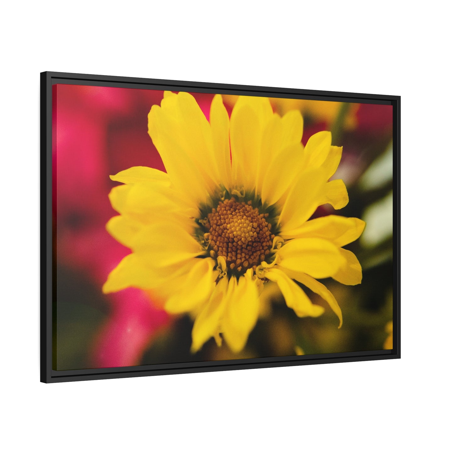 Blooms of sunshine on Matte Canvas, Black Frame