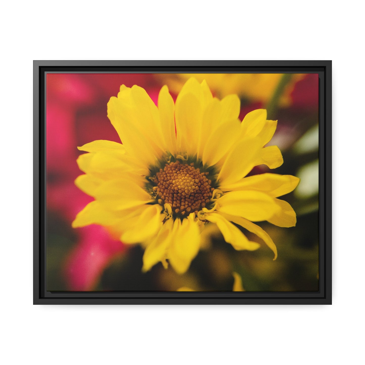 Blooms of sunshine on Matte Canvas, Black Frame